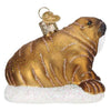 Old World Christmas Walrus - - SBKGifts.com