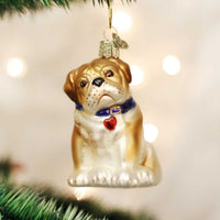 Old World Christmas Bull Pup - - SBKGifts.com