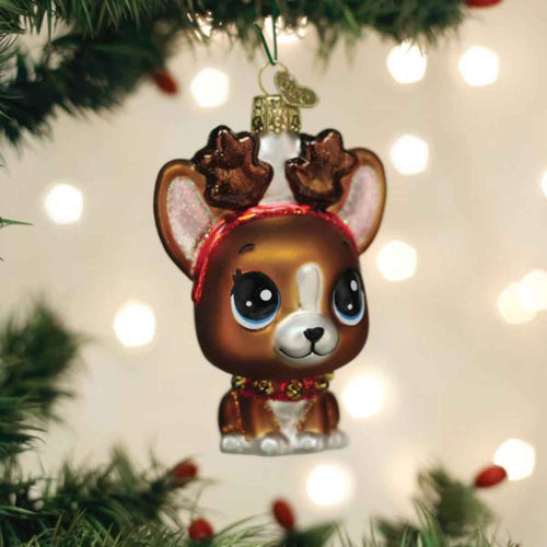 Old World Christmas Littlest Pet Shop Roxie - - SBKGifts.com