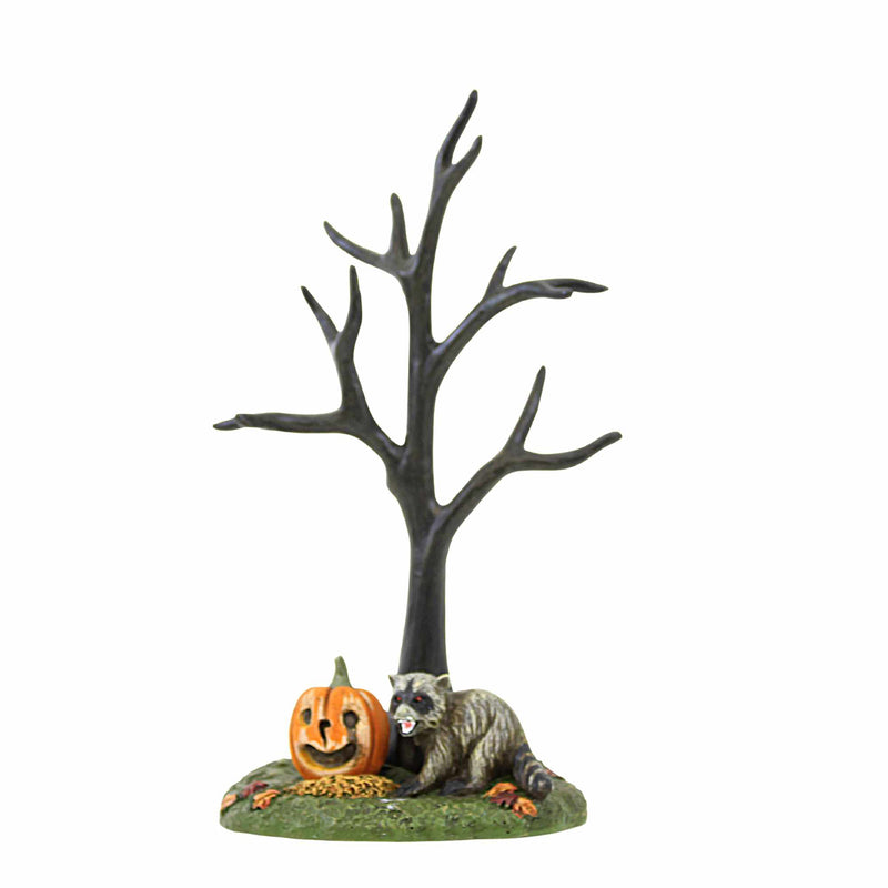 7.25 Inch The Rabid Pumpkin Bandit Halloween Raccoon Bare Branch Tree 6012296 (59457)