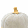 Ganz Medium Cement Pumpkin - - SBKGifts.com