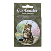 (60656) E & S Imports Maine Coon Car Coaster, 2.50 Inch, Super Absorbent 2346