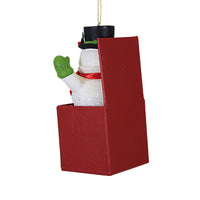 Bethany Lowe Frosty In The Box Ornament - - SBKGifts.com