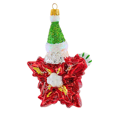 Ornament King Poinsettia Star - - SBKGifts.com