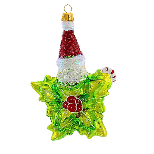 Ornament King Holly Star - - SBKGifts.com