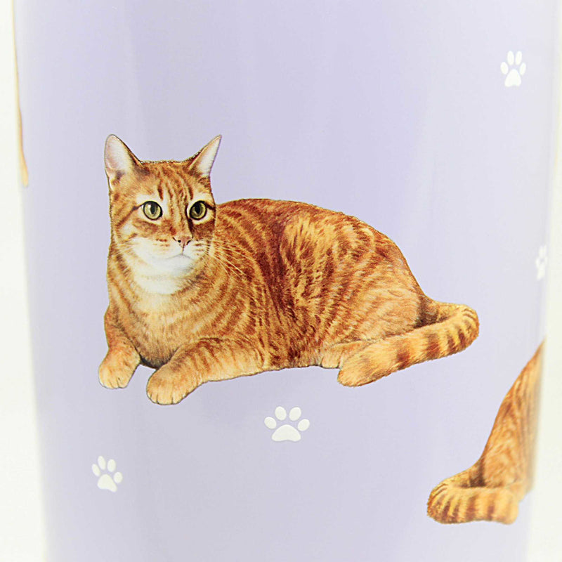 E & S Imports Tabby Orange Serengeti Tumbler - - SBKGifts.com