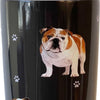 E & S Imports Bulldog Serengeti Tumbler - - SBKGifts.com