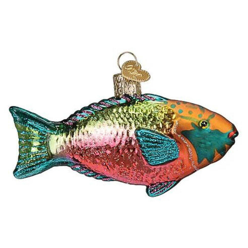 Old World Christmas Parrotfish - - SBKGifts.com