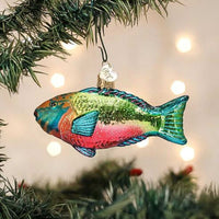 Old World Christmas Parrotfish - - SBKGifts.com