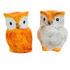 (62943) Transpac Sweet Owl Salt & Pepper Shakers, 3.00 Inch, Wise Large Eyes Th01124