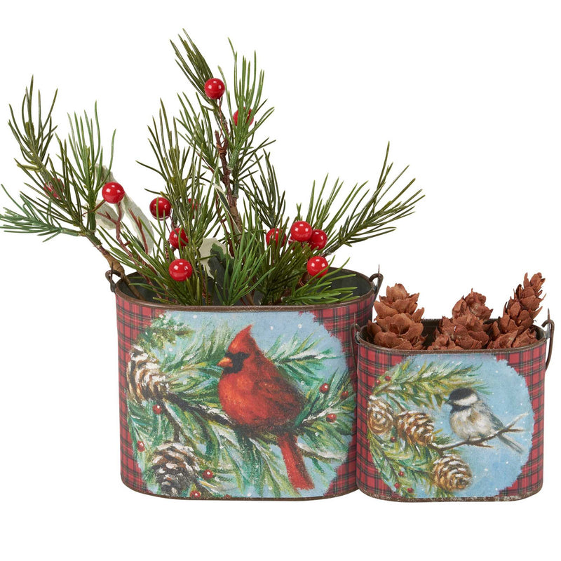 Primitives By Kathy Cardinal & Friend Bin Set - - SBKGifts.com