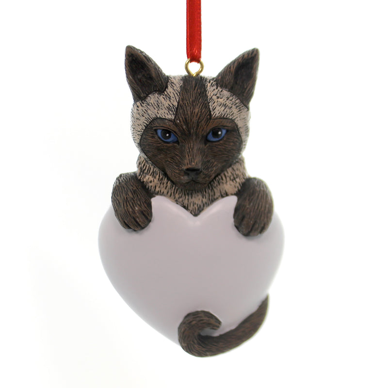 3.50 Inch Siamese Cat Kitten Blue Eyes 543 (27488)