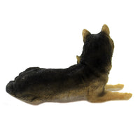 Animal Wolf With Pup - - SBKGifts.com