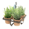 Home Decor Floral / Herb Caddy Set / 5 - - SBKGifts.com